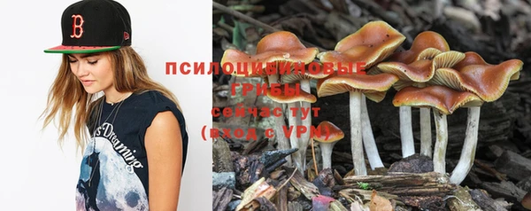 тгк Кулебаки