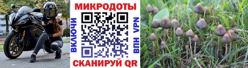 Купить  Володарск  Галлюциногенные грибы прущие грибы 